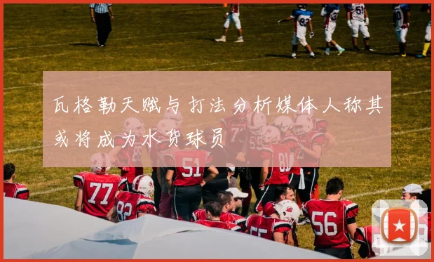 瓦格勒天赋与打法分析媒体人称其或将成为水货球员